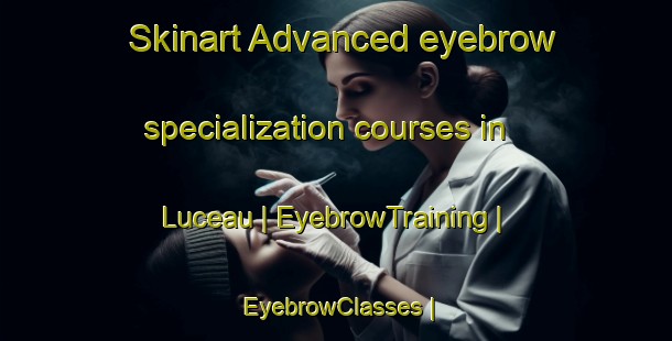 Skinart Advanced eyebrow specialization courses in Luceau | EyebrowTraining | EyebrowClasses | SkinartTraining-France
